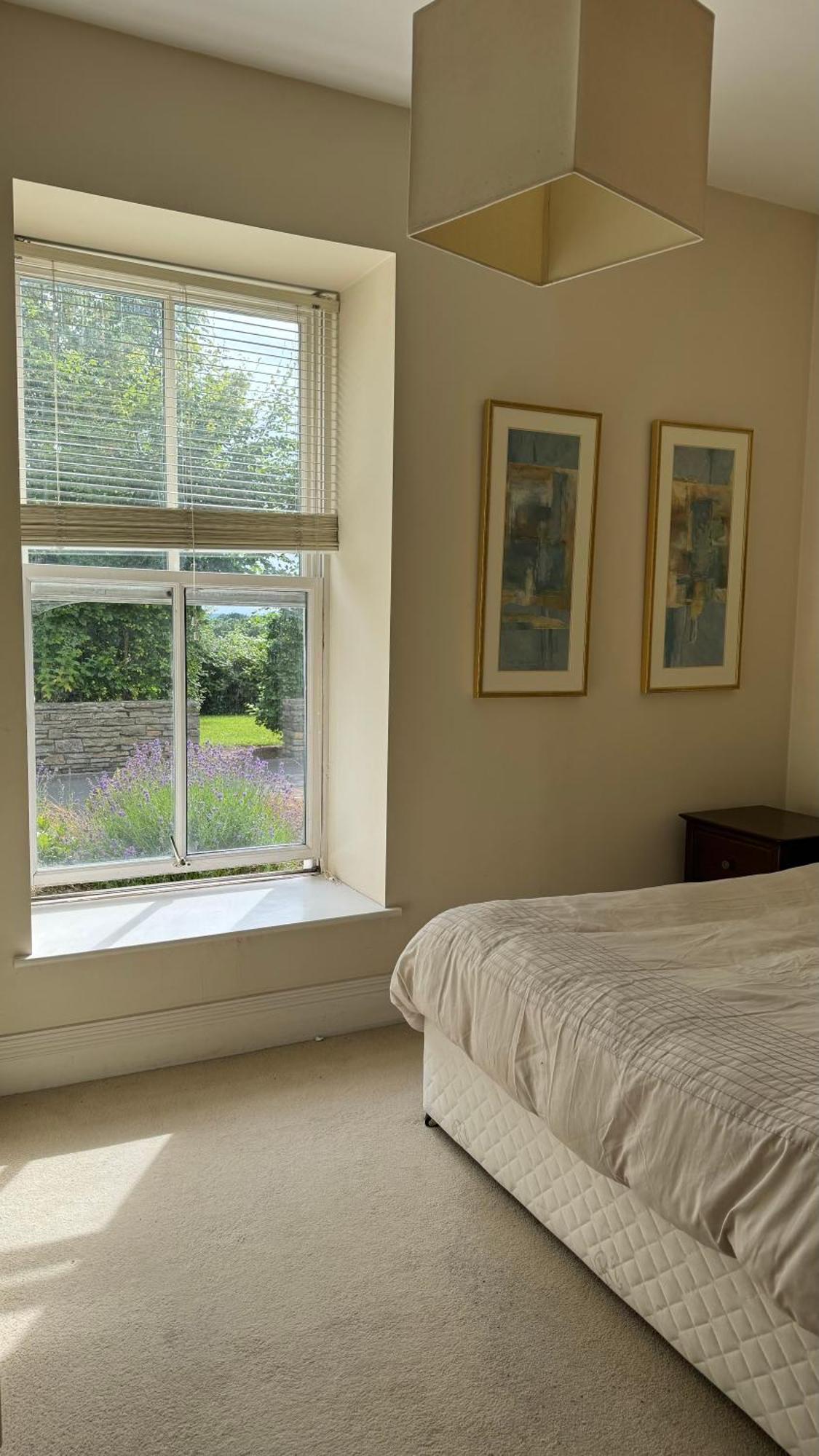 Room With Private Bathroom Near The Center Cork Exteriör bild